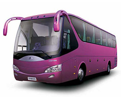 ��� ����� ����-�������, �����, �������