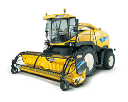 ��� ����� ����-�������, �����, �������