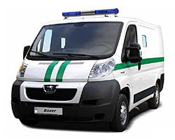 ��� ����� ����-�������, �����, �������