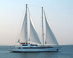 ��� ����� ����-�������, �����, �������